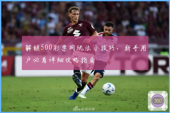 解锁500彩票网玩法小技巧，新手用户必看详细攻略指南