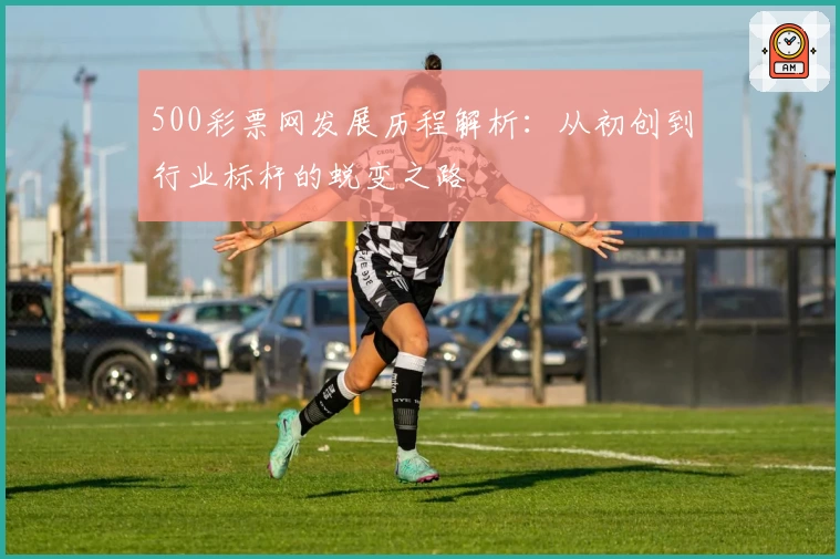 500彩票网发展历程解析：从初创到行业标杆的蜕变之路