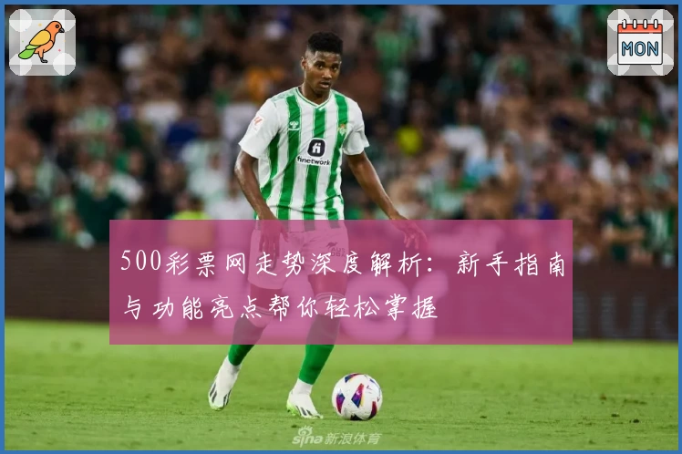500彩票网走势深度解析：新手指南与功能亮点帮你轻松掌握