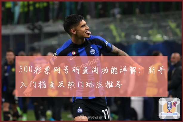 500彩票网号码查询功能详解：新手入门指南及热门玩法推荐